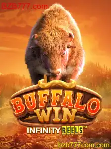 Descubra o Mundo do BuffaloWin